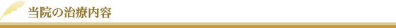 当院の治療内容